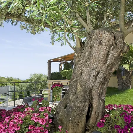 别墅 尊享专属典雅别墅 *