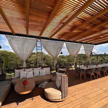 别墅 尊享专属典雅别墅