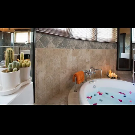 别墅 尊享专属典雅别墅