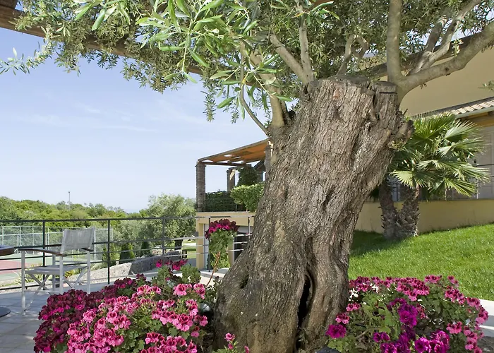 Vila Privilege Classic & Exclusive *